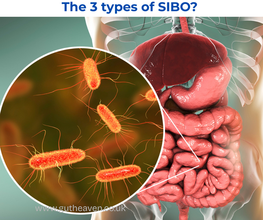 The 3 types of SIBO - Hydrogen, Methane & Hydrogen Sulphide