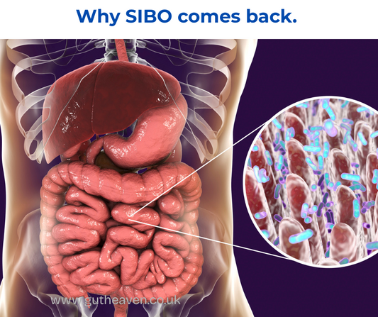 Why SIBO Keeps Coming Back