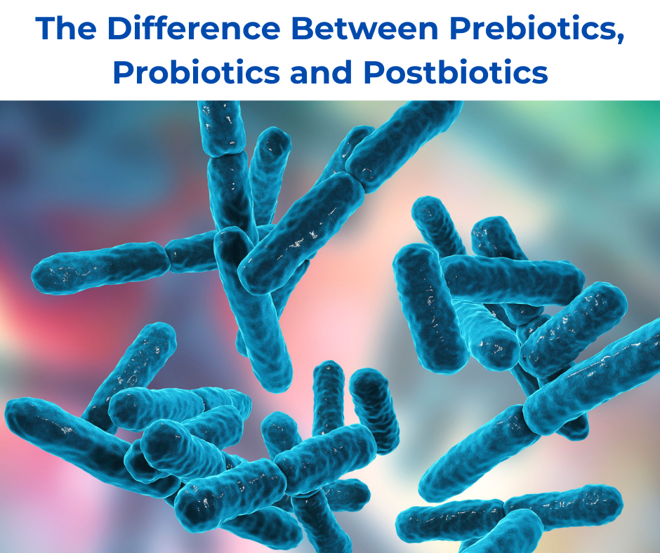 The Difference Between Prebiotics, Probiotics and Postbiotics