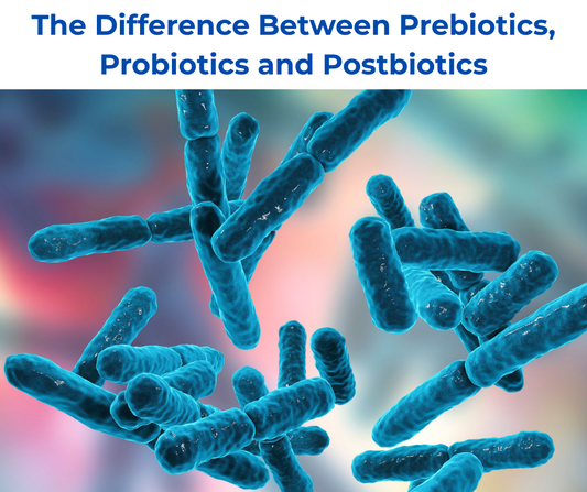 The Difference Between Prebiotics, Probiotics and Postbiotics